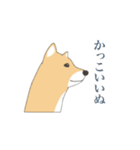 そう、そこに柴犬が（個別スタンプ：15）