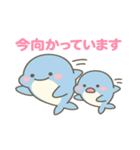 親子イルカのやさしいスタンプ（個別スタンプ：9）