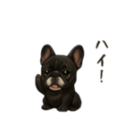 フレンチブルドッグ！！！（個別スタンプ：6）