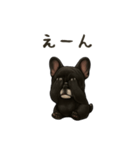 フレンチブルドッグ！！！（個別スタンプ：8）