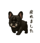 フレンチブルドッグ！！！（個別スタンプ：11）