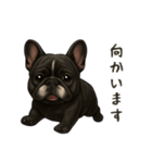 フレンチブルドッグ！！！（個別スタンプ：13）