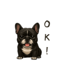 フレンチブルドッグ！！！（個別スタンプ：16）