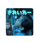我が家のかいじゅうスタンプです②（個別スタンプ：15）