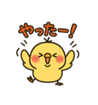 恋するひよこの毎日スタンプ（個別スタンプ：3）
