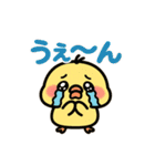 恋するひよこの毎日スタンプ（個別スタンプ：11）