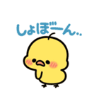 恋するひよこの毎日スタンプ（個別スタンプ：23）