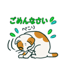 ゆるいミケ猫スタンプ（個別スタンプ：6）