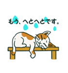 ゆるいミケ猫スタンプ（個別スタンプ：7）