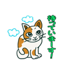 ゆるいミケ猫スタンプ（個別スタンプ：10）