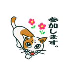 ゆるいミケ猫スタンプ（個別スタンプ：13）