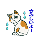 ゆるいミケ猫スタンプ（個別スタンプ：16）