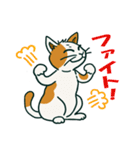 ゆるいミケ猫スタンプ（個別スタンプ：25）