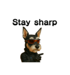 CyberSchnauzer（個別スタンプ：2）