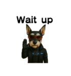 CyberSchnauzer（個別スタンプ：12）