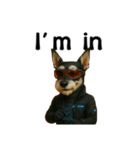 CyberSchnauzer（個別スタンプ：13）