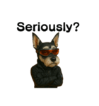 CyberSchnauzer（個別スタンプ：18）
