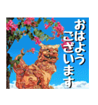 シーサー大好き！沖縄行きたい！（個別スタンプ：1）