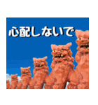 シーサー大好き！沖縄行きたい！（個別スタンプ：11）