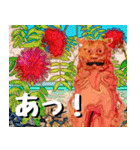 シーサー大好き！沖縄行きたい！（個別スタンプ：22）