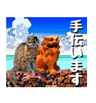 シーサー大好き！沖縄行きたい！（個別スタンプ：37）