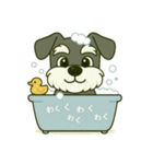 シュナの日常スタンプ.（個別スタンプ：12）