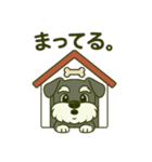 シュナの日常スタンプ.（個別スタンプ：26）