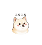 ぷくっとしばいぬ（個別スタンプ：1）