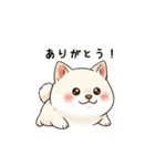 ぷくっとしばいぬ（個別スタンプ：4）