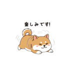 ぷくっとしばいぬ（個別スタンプ：9）