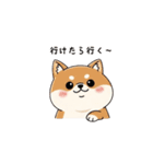 ぷくっとしばいぬ（個別スタンプ：13）