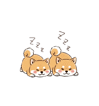 ぷくっとしばいぬ（個別スタンプ：24）