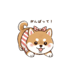 ぷくっとしばいぬ（個別スタンプ：25）