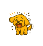 ゴールデンレトリバーのウェル吉くん3（個別スタンプ：21）