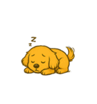 ゴールデンレトリバーのウェル吉くん3（個別スタンプ：28）