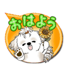 シーズー犬 2025 「カラフルな吹き出し」（個別スタンプ：1）