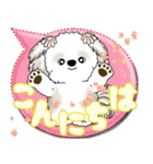 シーズー犬 2025 「カラフルな吹き出し」（個別スタンプ：2）