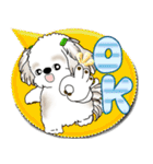 シーズー犬 2025 「カラフルな吹き出し」（個別スタンプ：3）
