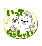 シーズー犬 2025 「カラフルな吹き出し」（個別スタンプ：6）