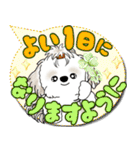 シーズー犬 2025 「カラフルな吹き出し」（個別スタンプ：9）