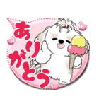シーズー犬 2025 「カラフルな吹き出し」（個別スタンプ：12）