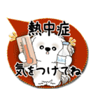 シーズー犬 2025 「カラフルな吹き出し」（個別スタンプ：13）