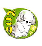 シーズー犬 2025 「カラフルな吹き出し」（個別スタンプ：16）