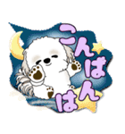 シーズー犬 2025 「カラフルな吹き出し」（個別スタンプ：21）
