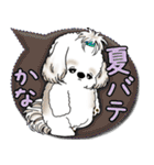 シーズー犬 2025 「カラフルな吹き出し」（個別スタンプ：22）