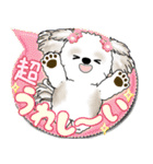 シーズー犬 2025 「カラフルな吹き出し」（個別スタンプ：24）