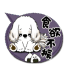 シーズー犬 2025 「カラフルな吹き出し」（個別スタンプ：26）