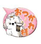 シーズー犬 2025 「カラフルな吹き出し」（個別スタンプ：27）