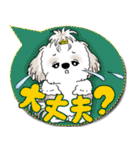 シーズー犬 2025 「カラフルな吹き出し」（個別スタンプ：31）