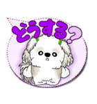 シーズー犬 2025 「カラフルな吹き出し」（個別スタンプ：33）